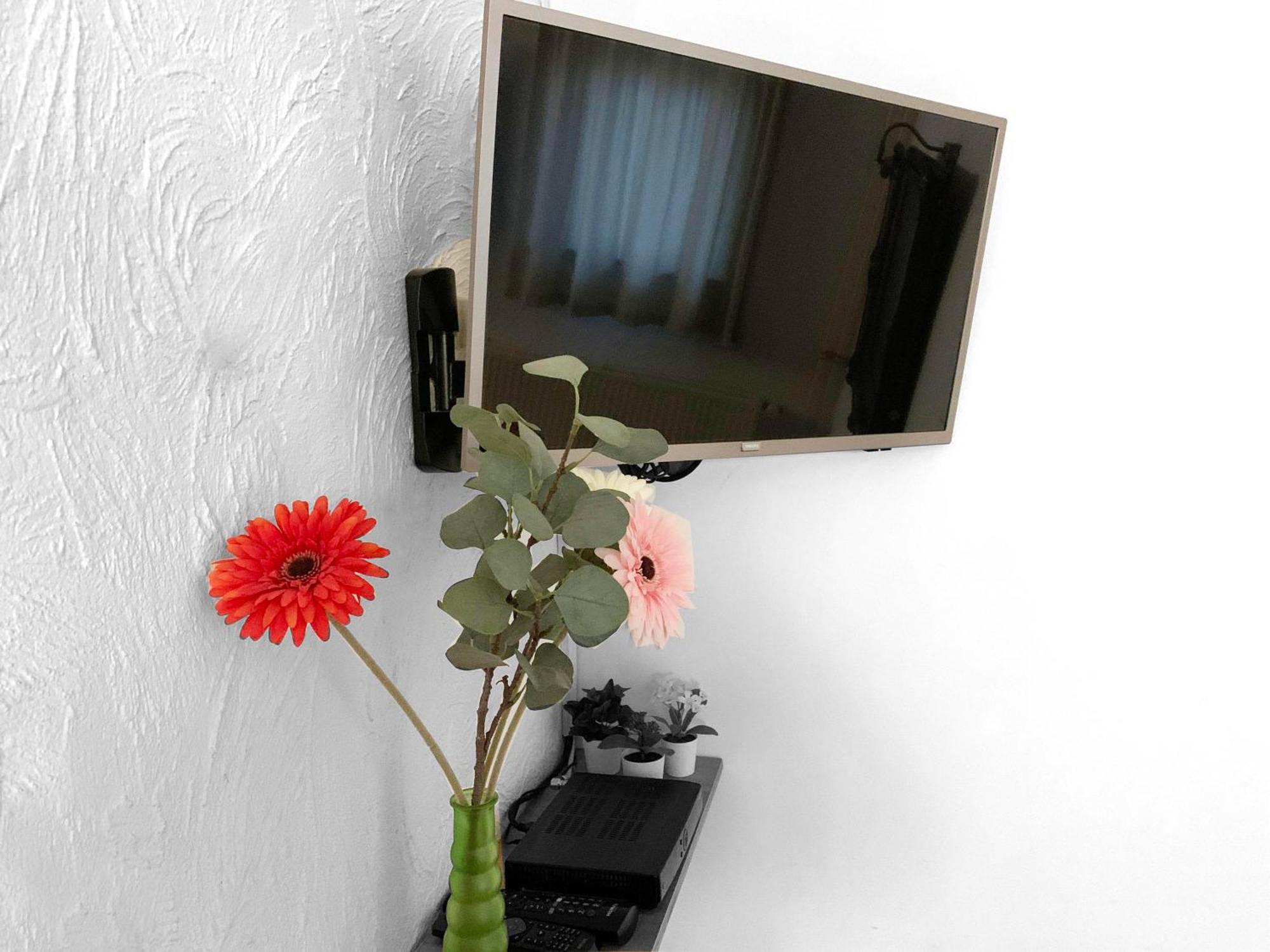 B&B En Vakantiewoningen 'T Wienhoes Wittem Extérieur photo