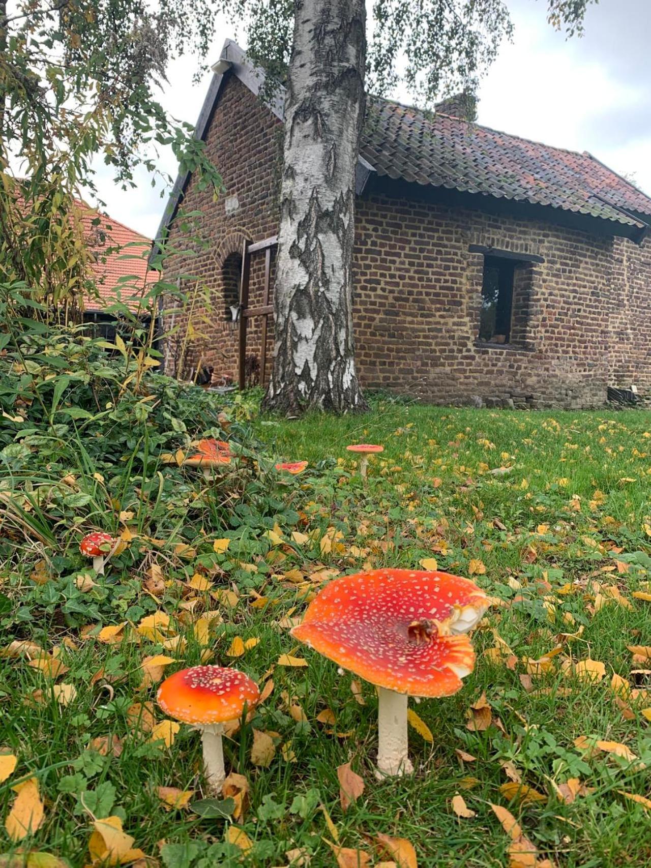 B&B En Vakantiewoningen 'T Wienhoes Wittem Extérieur photo